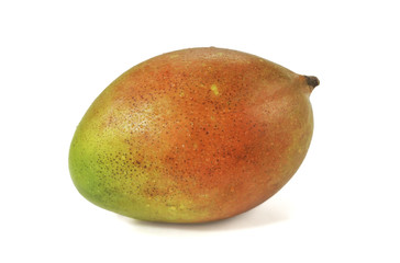 Mango fruit