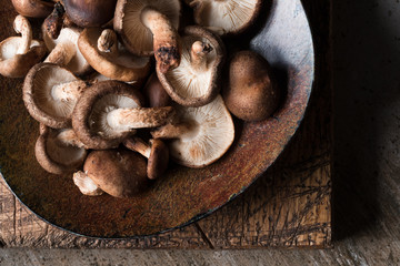 Shiitake Mushrooms on a Plate