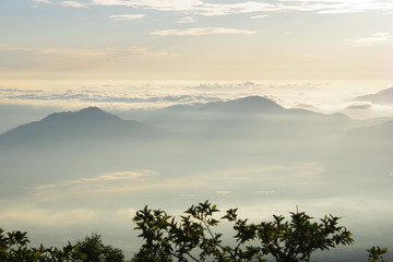 富士からの雲海、朝焼け１