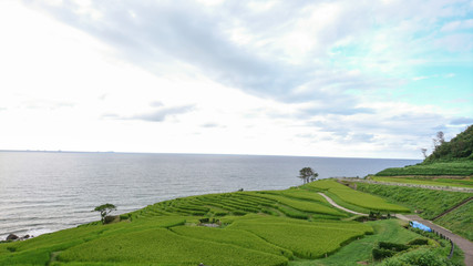 Obraz premium 白米千枚田の棚田