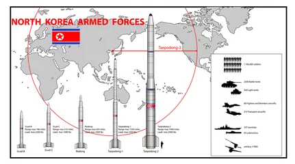 Foto op Canvas Infographics van de strijdkrachten van Noord-Korea © Isaxar
