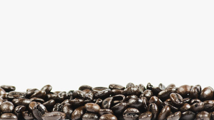 coffee bean background and white