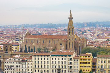 Naklejka premium View of Florence city