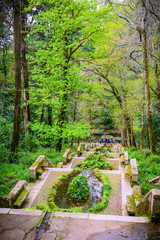 Stairs in the park of Bussaco. Coimbra. Portugal