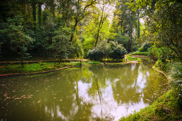 Fototapeta premium Park of Bussaco. Coimbra. Portugal