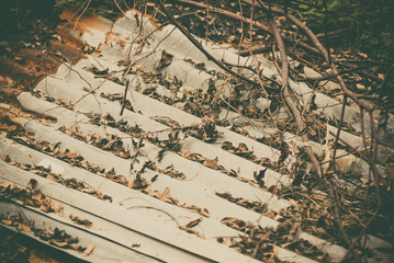 Dried leaves stuck on the roof made of the rust galvanized sheet.