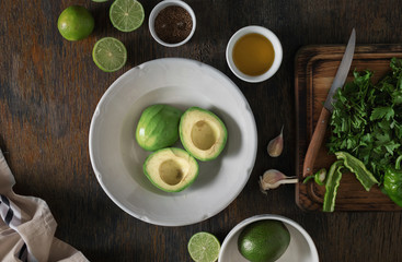 Set of ingredients for the preparation of Mexican guacamole sauce