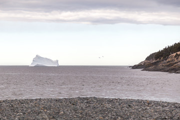 Iceberg and Two Seagulls - 168010839