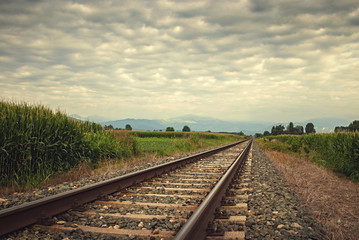 View on train tracks between corn fields on a cloudy day