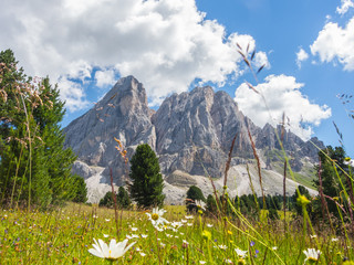 Sass de Putia, Passo delle Erbe plateau, Alta Badia, Sud Tirol, Italy