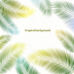 Obraz premium Tropical background. Palm leaves. A pattern of colored exotic leaves. Border. Frame.