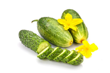 Cucumber