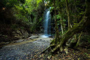 Water tumbling over a small waterfall in an indigineous forest in the overberg  in South Africa