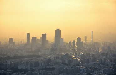 Fototapeta premium 幻想的な光景・日本の東京都市風景（夕日に照らされ、美しく輝く街並みと池袋の超高層ビル群）