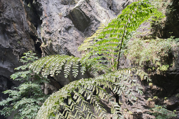 Parfüm Pagode Huong Tich Höhle im vietnamesisch Chua Huong, Hanoi
