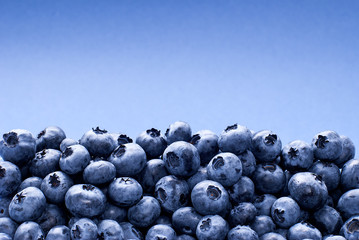 Background of blueberries, with place for text
