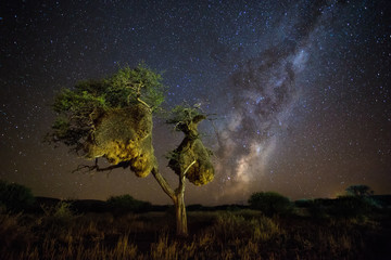 Blazing milky way in the kalahari desert during a new moon in the northern cape of south africa