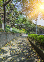scenery view of the road of walk in mountain city,Chongqing,China.