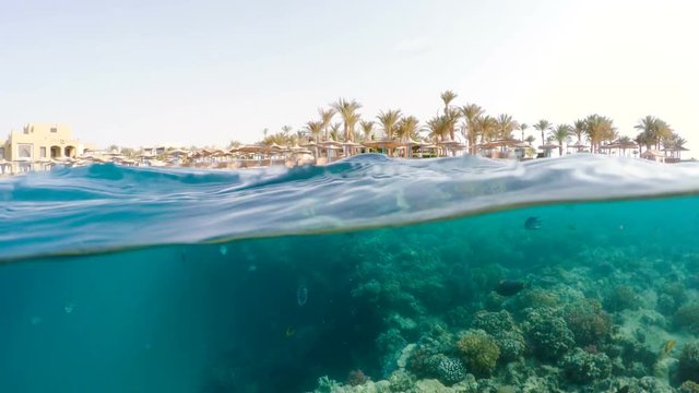 Underwater surface split view in the tropics paradise with fish and coral reef, above waterline view of paradise beach with parasols. Egypt Marsa Alam vacation concept