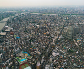 Naklejka premium The view of downtown city from the top.