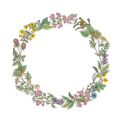 Wreath from hand drawn herbs and flowers
