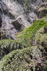 Parfüm Pagode Huong Tich Höhle im vietnamesisch Chua Huong, Hanoi
