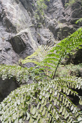 Parfüm Pagode Huong Tich Höhle im vietnamesisch Chua Huong, Hanoi