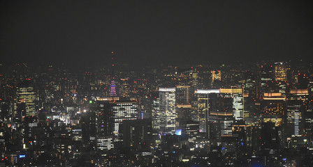 Fototapeta na wymiar 日本の東京都市風景・「港区方面など、夜の高層ビル群などを望む」
