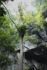 Parfüm Pagode Huong Tich Höhle im vietnamesisch Chua Huong, Hanoi