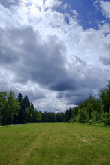 Stormy sky over the forrest meadow.