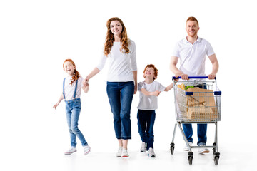 Fototapeta premium family with shopping trolley