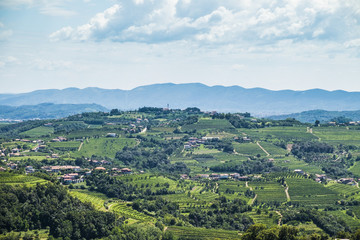 Obraz premium Vineyards at Goriska Brda, Slovenia.