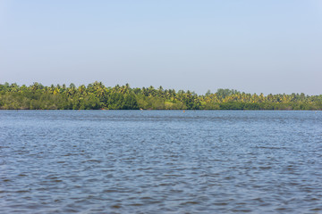 The Hikkaduwa Lake in the north-east of the same city. With its monitor lizards and numerous birds, it is a very pleasant excursion away from the beach. The lagoon with an estuary, has mixed water