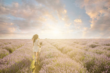 Attractive slim girl on the amazing lavender field. unrecognizable woman running into the sunset. ...
