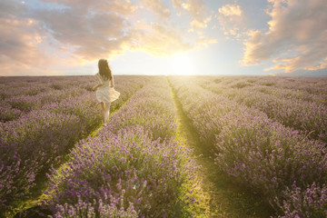 Naklejka premium Amazing lavender field landscape. Young slim beautiful woman running into the sunset. Summer evening time mood. 