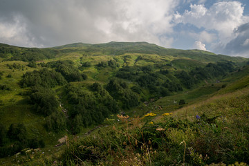 Obraz premium Majestic mountain landscapes of the Caucasian reserve