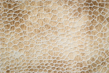 Leather abstract background with texture