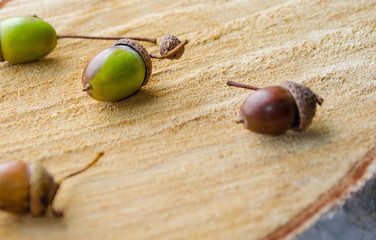 Walnut on wooden