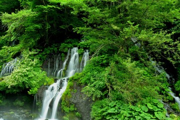 山梨県　清里　吐竜の滝
