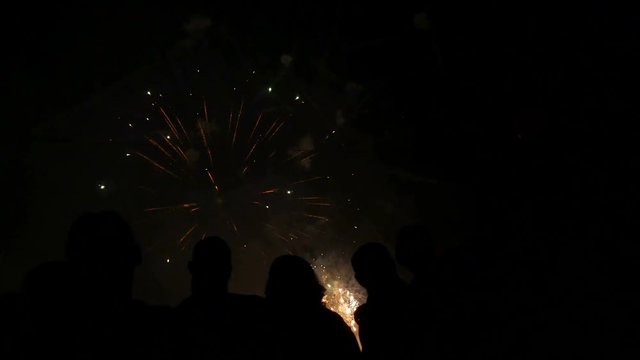 Crowd wathcing fireworks