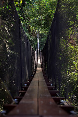 Doi Tung tree top walk, Suspension bridge for adventure in Thailand.