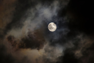 Naklejka na ściany i meble Night sky with full moon and floating cloud for background.