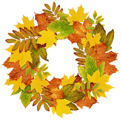Autumn wreath from dry colored leaves