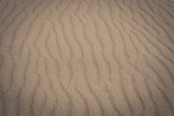 Fototapeta na wymiar Sand Dunes