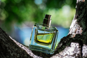 Natural perfume on green blurred background
