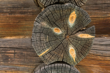 The texture of the cross section of old cracked logs.