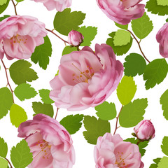 Beautiful seamless pattern with realistic roses on a white background. Seamless pattern with 3d mesh roses. Vector illustration.