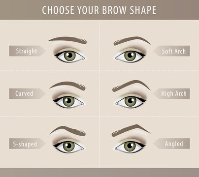 Different eyebrow shapes tutorial. vector template