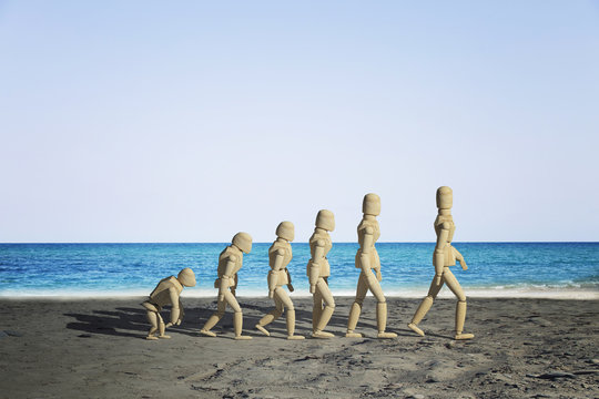 Wooden mannequin prototype of human evolution