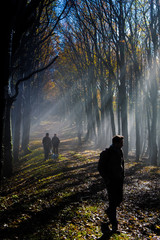 Foreste Casentinesi National Park, Badia Prataglia, Tuscany, Italy, Europe. People are walking through sun rays in the mist.